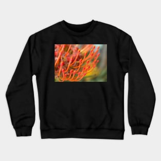 Pincushion Orange Flower Crewneck Sweatshirt